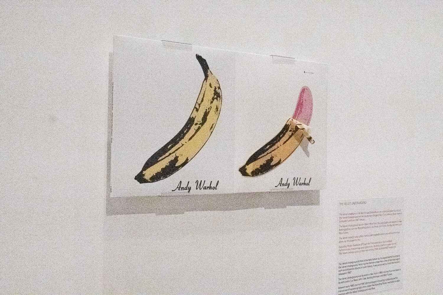 ANDY WARHOL Velvet Rage And Beauty Exhibition in Berlin